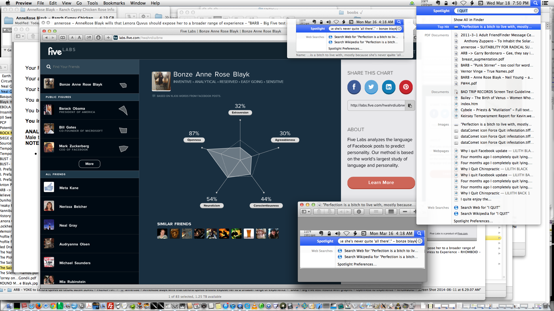 ./annerose - I QUIT - both AnneRose Blayk and Lenora Quvus are perfectionists - 'Perfection is a bitch to live with, mostly because she's never quite 'all there'' - bonze blayk - OPENNESS TO EXPERIENCE - Big 5 Test - Screen Shot 2015-03-18 at 7.50.52 PM.png